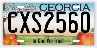GA license plate CXS2560
