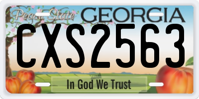 GA license plate CXS2563