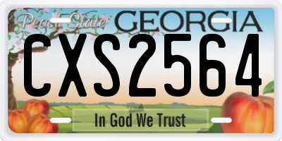 GA license plate CXS2564