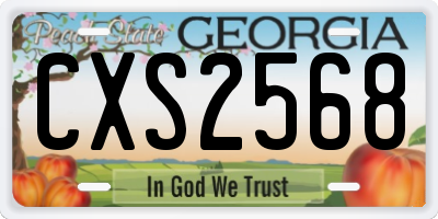 GA license plate CXS2568
