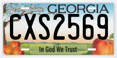 GA license plate CXS2569