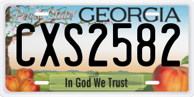 GA license plate CXS2582