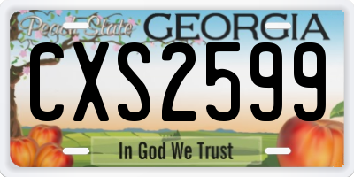 GA license plate CXS2599