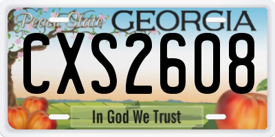 GA license plate CXS2608