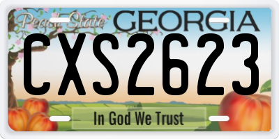 GA license plate CXS2623