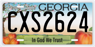 GA license plate CXS2624