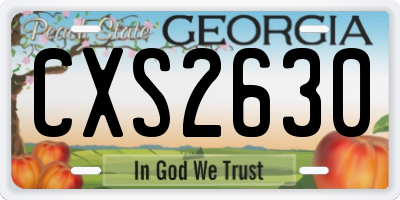 GA license plate CXS2630