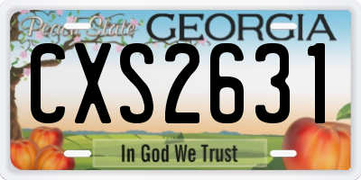 GA license plate CXS2631