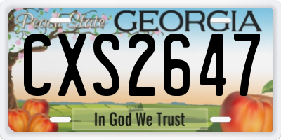 GA license plate CXS2647