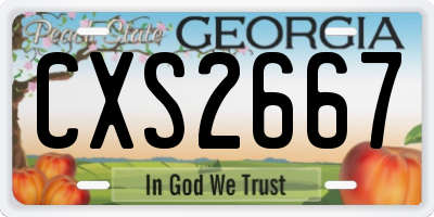 GA license plate CXS2667