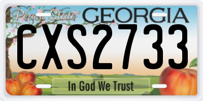 GA license plate CXS2733