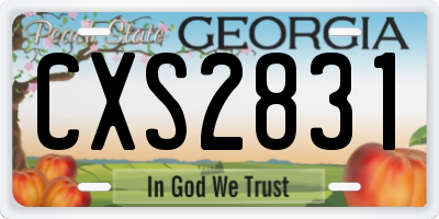GA license plate CXS2831