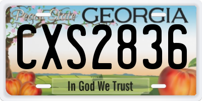 GA license plate CXS2836