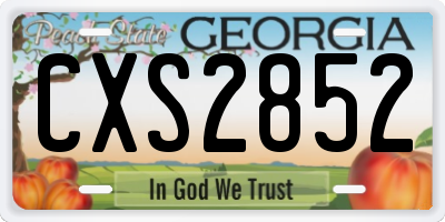 GA license plate CXS2852