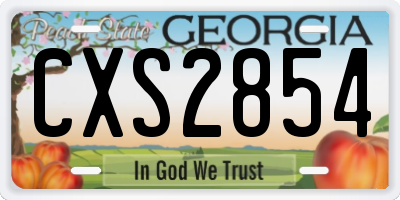GA license plate CXS2854