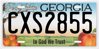 GA license plate CXS2855
