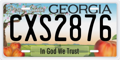 GA license plate CXS2876