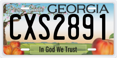 GA license plate CXS2891