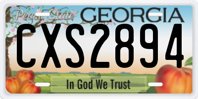 GA license plate CXS2894