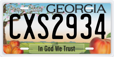 GA license plate CXS2934