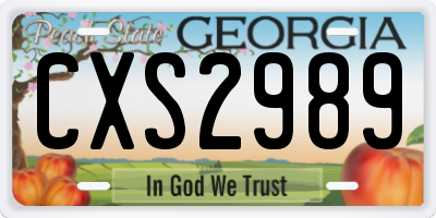 GA license plate CXS2989