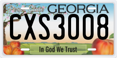 GA license plate CXS3008