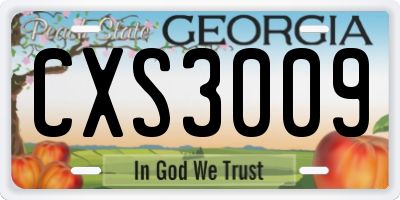 GA license plate CXS3009
