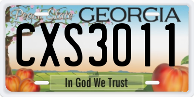 GA license plate CXS3011