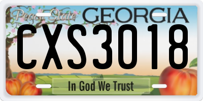 GA license plate CXS3018