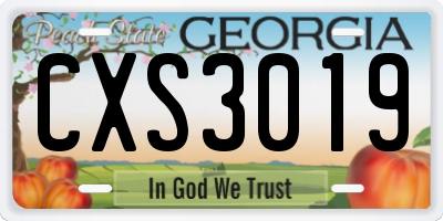 GA license plate CXS3019
