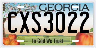 GA license plate CXS3022