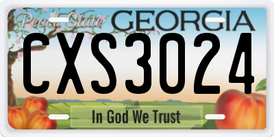 GA license plate CXS3024