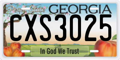 GA license plate CXS3025