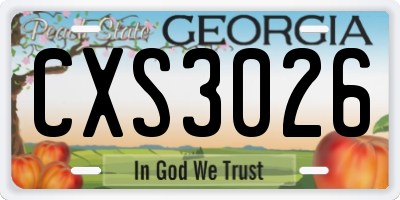 GA license plate CXS3026