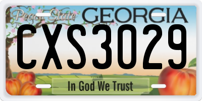 GA license plate CXS3029