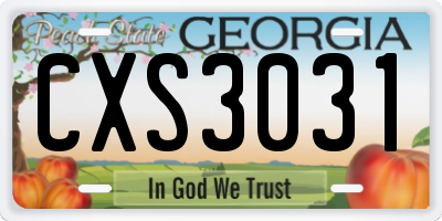 GA license plate CXS3031