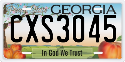 GA license plate CXS3045
