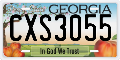 GA license plate CXS3055