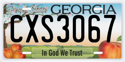 GA license plate CXS3067
