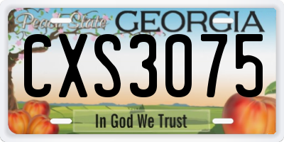 GA license plate CXS3075