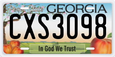 GA license plate CXS3098