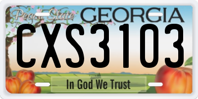 GA license plate CXS3103
