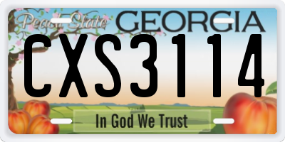 GA license plate CXS3114