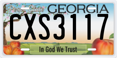 GA license plate CXS3117