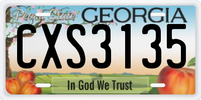 GA license plate CXS3135