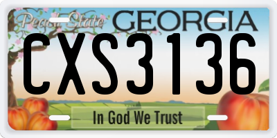 GA license plate CXS3136