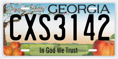 GA license plate CXS3142