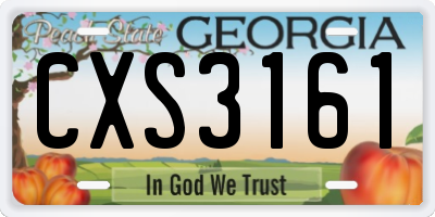 GA license plate CXS3161