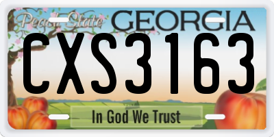 GA license plate CXS3163