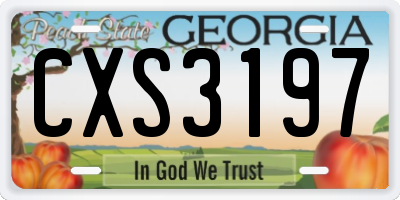 GA license plate CXS3197